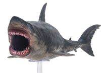 PNSO โมเดลสัตว์ยุคก่อนประวัติศาสตร์: Patton The Megalodon (ฉลามขาวตัวใหญ่) 13  "ตัวเลขสัตว์ประหลาดทะเลโบราณ