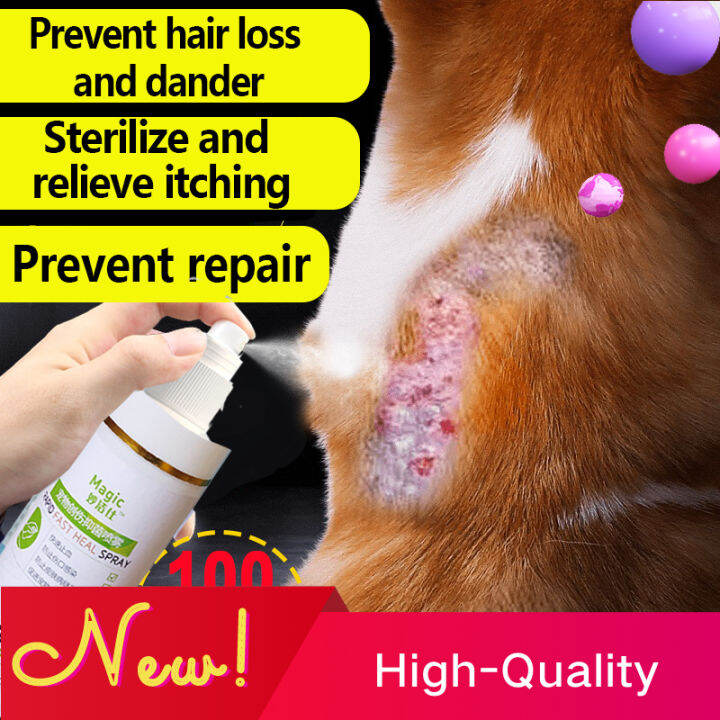 Tick and Flea Spray 100ml wound spray for dogs animal wound spray dog ...