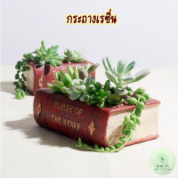 Old Book Resin Pot กระถางตกแต่งสวน กระถางเรซิน กระถางเล็ก กระถางไม้อวบน้ำ กระถางกระบองเพชร กระถางต้นไม้ 10.5x8cm