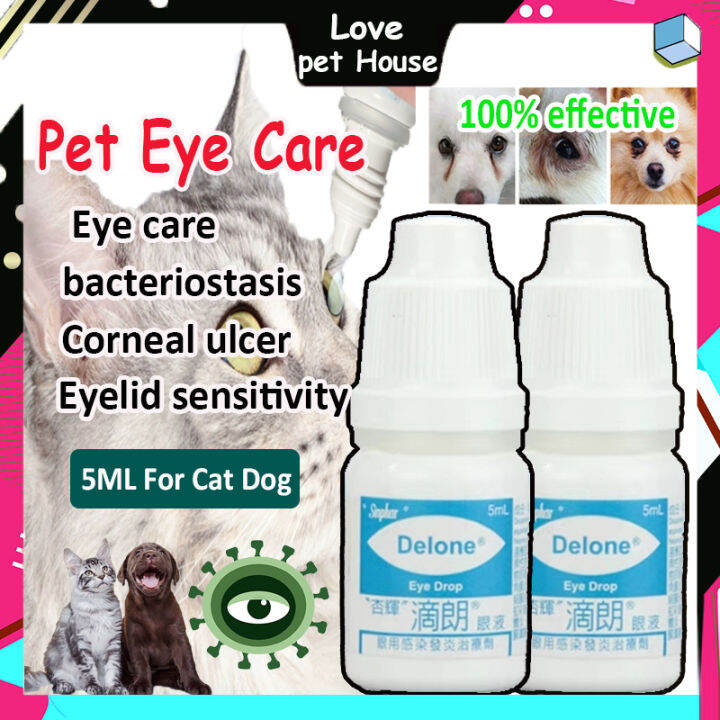Pet eye drops conjunctivitis ophthalmitis red and swollen keratitis dog