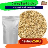 Canary Seed ข้าวไรน์ 25KG.