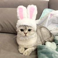 Cute Pet Costume Cosplay Rabbit Ears Hat for Cat Halloween Xmas Clothes Fancy Dress with Ears Autumn Winter Party Accessorie