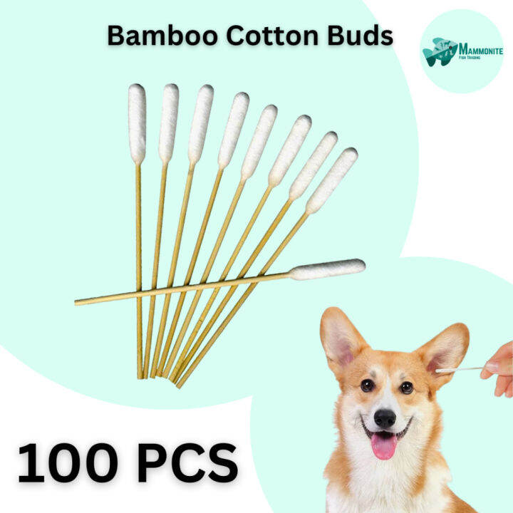 Bamboo Cotton Buds for Cats and Dogs Lazada PH