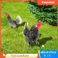 Paqiakoi 2PCS กลางแจ้งสนามเดิมพันการตกแต่งสเตครูปแบบไก่สมจริงสเตค 3D อะคริลิคลาน