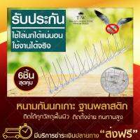 (ซื้อ 3 แถม 3) หนามกันนกเกาะ แบบเส้น ฐานพลาสติก รั้วกั้นนก ที่กันนก รั้วป้องกันนก (x6ชิ้น) ปลายแหลม 6 ชิ้น เท่ากับความยาว 3 เมตร หนามไล่นก