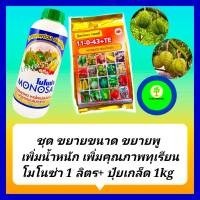 ชุด ขยายผลทุเรียน ขยายพู เพิ่มน้ำหนัก เพิ่มคุณภาพผลผลิต โมโนซ่า น้ำตาลทางด่วน 1 L+ ปุ๋ยเกล็ด 11-0-43 +TE 1 kg  เนื้อแน่น ลูกใหญ่