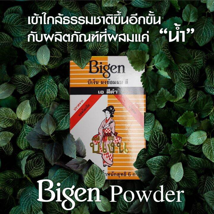 bigen-powder-6-กรัม-บีเง็น-ผงย้อมผม-ยาย้อมผม-สีย้อมผม-สีผม-สูตรอ่อนโยน-ไม่มีแอมโมเนีย-ปิดผมขาว-ได้อย่างมั่นใจ