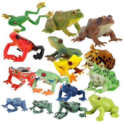 ZZOOI Realistic Wild Amphibian Action Figures Treefrog Bullfrog Toadfrog Plastic Frog Model Toy Cognitive Ornament Toys Gift For Kids