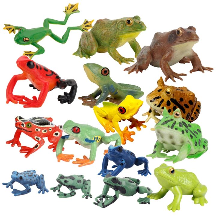 zzooi-realistic-wild-amphibian-action-figures-treefrog-bullfrog-toadfrog-plastic-frog-model-toy-cognitive-ornament-toys-gift-for-kids