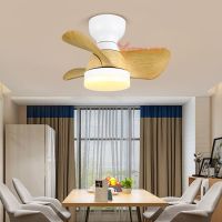 Mini Ceiling Fan Lamp Light LED Office Kitchen Kids Bedroom Dining Room Small Ceiling Fan Remote DC Motor Reversible 22inch Fan Exhaust Fans