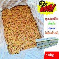 ลูกเกดเหลืองเม็ดเล็ก 10kg  Lot ใหม่ สะอาด เกรด AAA