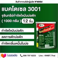 แบคโตเซล 3001 1000 กรัม 12 กระป๋อง  BACTOCEL ดับกลิ่นเหม็นไขมัน บ่อดักไขมัน สลายไขมัน ท่ออุดตัน ไขมันหนา ไขมันแข็ง ย่อยสลายไขมัน ผงละลายไขมัน