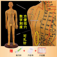 62CM Acupoint Acupuncture Acupuncture Model Meridian Bronze Man Carving TCM สอนโมเดลร่างกายมนุษย์ชายและหญิง