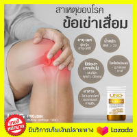 **แถมกระเป๋า ส่งฟรี!! UNC Projoin อาหารเสริมฟื้นฟูเข่า เจ็บเข่า ได้อย่างตรงจุด  น้ำในข้อเข่า ข้อต่อ ด้วยสารสกัดจากกระดูกอ่อนจากปลาทะเลน้ำลึก