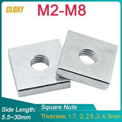 5 50Pcs M2 M3 M4 M5 M6 M8 Zinc Plated Carbon Steel Thin Square Nuts Slider Block for Aluminum Profile Accessory DIN562