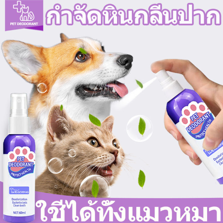 แนะนำจากหมอสัตว์เสี้ยง-yegbong-น้ำยาดับกลิ่นปากแมว-60ml-น้ำยาดับกลิ่นปากสุนัข-ป้องกันโรคในช่องปากของสัตว์เลี้ยง-ขจัดฟันคราบพลัคแคลคูลัสทันตกรรมใช้ได้ทั้งแมวและสุนัข-ดับกลิ่นปากแมว-ดับกลิ่นปากหมา-สเปรย