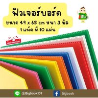 ฟิวเจอร์บอร์ด พลาสติกลูกฟูก หนา 3มิล ขนาด 49x65cm (1 แพ็คมี 10 แผ่น)