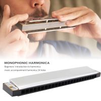 1pcs Silver Professional Harmonica Tremolo C Key 20 Hole Tremolo Harmonica Mouth Organ Musical Instrument for Beginner