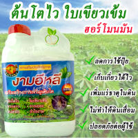 ปุ๋ยมันทางใบ ขนาด 5 ลิตร งามอีหลี ปุ๋ยมันหัวใหญ่ ต้นโตไว ใบเขียวเข้ม รากยาว รากเยอะ  ปุ๋ยใส่มัน ฮอร์โมนมัน ปุ๋ยใส่มันเทศ ปุ๋ยเร่งมัน