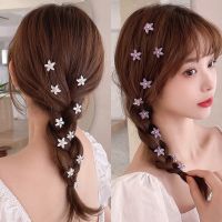 [hot]♚  10pcs Hair Clip Colorful Hairdressing Headwear Braid Decorations Accessories