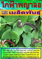 AGPF เมล็ดพันธุ์ ไก่ฟ้าพญาลอ ราคาต่อ1ซอง