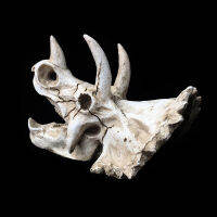 สัตว์เลื้อยคลานสะเทินน้ำสะเทินบกสัตว์เลี้ยงกล่องตกแต่งเรซิ่นจำลอง T Riceratops ไดโนเสาร์ฟอสซิลเครื่องประดับให้อาหารกล่องสัตว์เลื้อยคลานอุปกรณ์สัตว์เลี้ยง