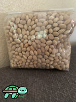 Dried White Bean     Size 500g.   (Raw)