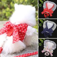 Fashion Cute Lace Bow Chest Harness Dog Chest Harness and Leash Set Cute Cat Leash Japanese Style Lace Bow Outdoor Pet Equipment