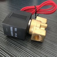 DN8 1/2" DC12V 24V AC110V 220V Electric Normally Close Wire Lead SMC Type Gas Solenoid Valve Pneumatic Valve For Water Oil Air Valves