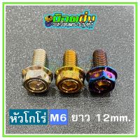 น็อตสแตนเลส หัวโกโร่ ขนาดเกลียว m6 ยาว 12 mm.