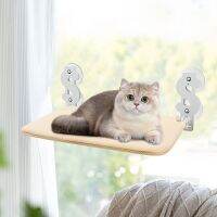 Cat Hammock Suction Cup Foldable Balcony Beds Hanging Glass Basket for Small Medium Cats Durable Steel Frame Pad Kitten Supplies