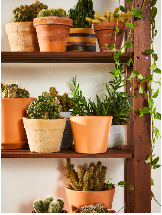 shelving-unit-outdoor-brown-stained-acacia-wood-acrylic-stain