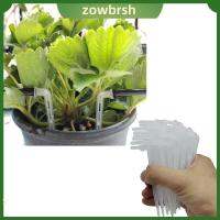 ZOWBRSH 50pcs สายยาง4/7มม. ที่ดริปโค้ง โปร่งใสโปร่งใส 1/4 หยดอีซีแอล การประหยัดน้ำ ฟิตติ้ง สปริงเกอร์ สวนในสวน