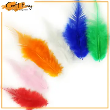 20/50/100PCS Peacock Pheasant Feathers Children's handmade material natural  feather