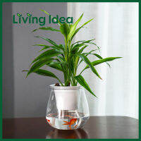 Living idea กระถาง​ต้นไม้แบบใส ​เก็บ​น้ำ​ได้​ รด​น้ำ​อัตโนมัติ พร้อมจัดส่ง