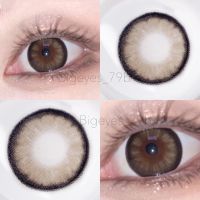 ✨Brown ขนาดตาโต (Bigeyes) ☀️กรองแสง uv ✔️จดทะเบียนถูกต้อง ??คอนแทคเลนส์สัญชาติเกาหลี??