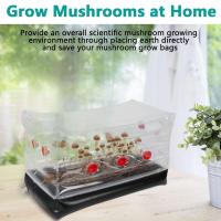 Round Mushroom Monotub Kit-Inflatable Mushroom Grow Bag With Plugs And Filters For Fresh Air Exchange,Garden Mushroom Grow Kit