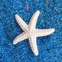 Adorable Fake Starfish Fine Workmanship Simulation Sea Star Soft Colorfast Mini Simulation Starfish