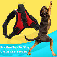 Harness Dog Training Chest สำหรับสุนัขขนาดกลางและขนาดใหญ่ Outdoor Harness Dog Training Collar Chest Strap Items