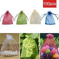 50/100pcs Garden Vegetable Fruit Grow Bag Plants Protection Bags Anti-Bird Gardening Drawstring Net Candy Grape Apple Mesh Pouch