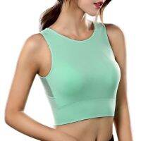 New y Women Sports Stitching y Shake Proof Quick Dry Fitness Top