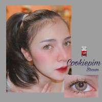 ? มีค่าสายตา ? Lovelylens ลาย Muse Cookiepim Brown Gray คอนแทคเลนส์ ตาโต ลายฮิต Tiktok  แถมตลับฟรี!!