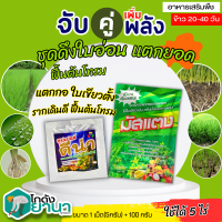 ? ชุดคู่หูเพิ่มพลังคูณ2 มัสแตง+ดีน่า ขนาด100กรัม+5กรัม (ฟลูวิคแอซิด+อะมิโนแอซิด) ดึงใบอ่น แตกยอด ฟื้นต้นโทรม