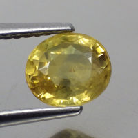 พลอย แซฟไฟร์ บุษราคัม แท้ ธรรมชาติ ( Natural Yellow Sapphire ) 1.68 กะรัต