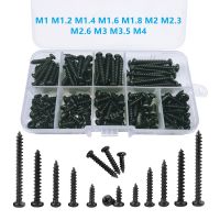 [HOT JIAZZAQQMGW 555] M1 M1.2 M1.4 M1.6 M1.8 M2 M3 M4 Cross Head Self Tapping Screw Assortment ชุดไม้ด้ายเล็บชุดสกรูหัวสกรูขนาดเล็ก