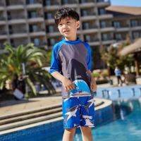 Brand Children Swimsuit Clothing Sets Swimming Shirts+Trunks Kids Bathing Suit Toddler Boys Sports Clothes