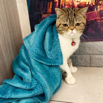 [pets baby] ผ้าห่มสัตว์เลี้ยง Dog FluffyBlanket Fleece Sleeping CoverCushion For Dog Cats Mat BedBlanket For Bedsswarm