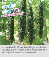 เมล็ดพันธุ์ มะระขี้นก มะระ เจไดท์ -Balsam Pear (Hybrid) Jadeite ตราดอกแตง เมล็ดพันธุ์คุณภาพดี