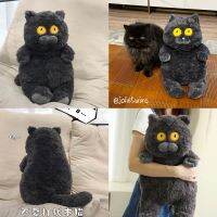 พร้อมส่ง? ตุ๊กตา แมวดำตาเหลือง หน้ากวนๆ Black Cat ตุ๊กตาน่ารัก ตุ๊กตาแมว ตุ๊กตาตลกๆ ของขวัญ ทาสแมว พร็อบแต่งห้อง