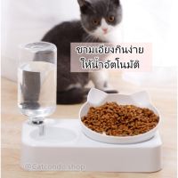 ?ส่งฟรี ️ชามแมว ชามหมา ที่ให้อาหาร ชามสัตว์เลี้ยง 2IN1️